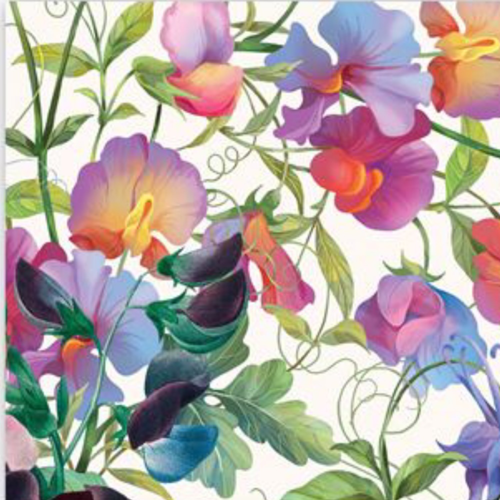 Meet your Posher, An.